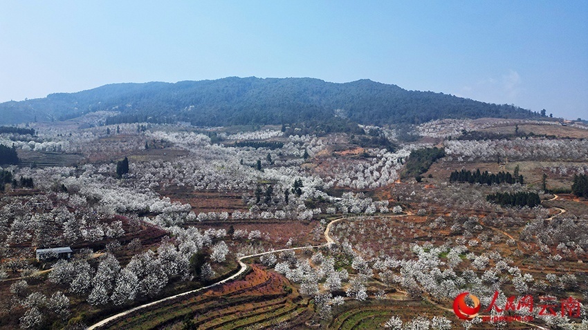 云南省文化和旅游厅