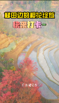 云南省文化和旅游厅