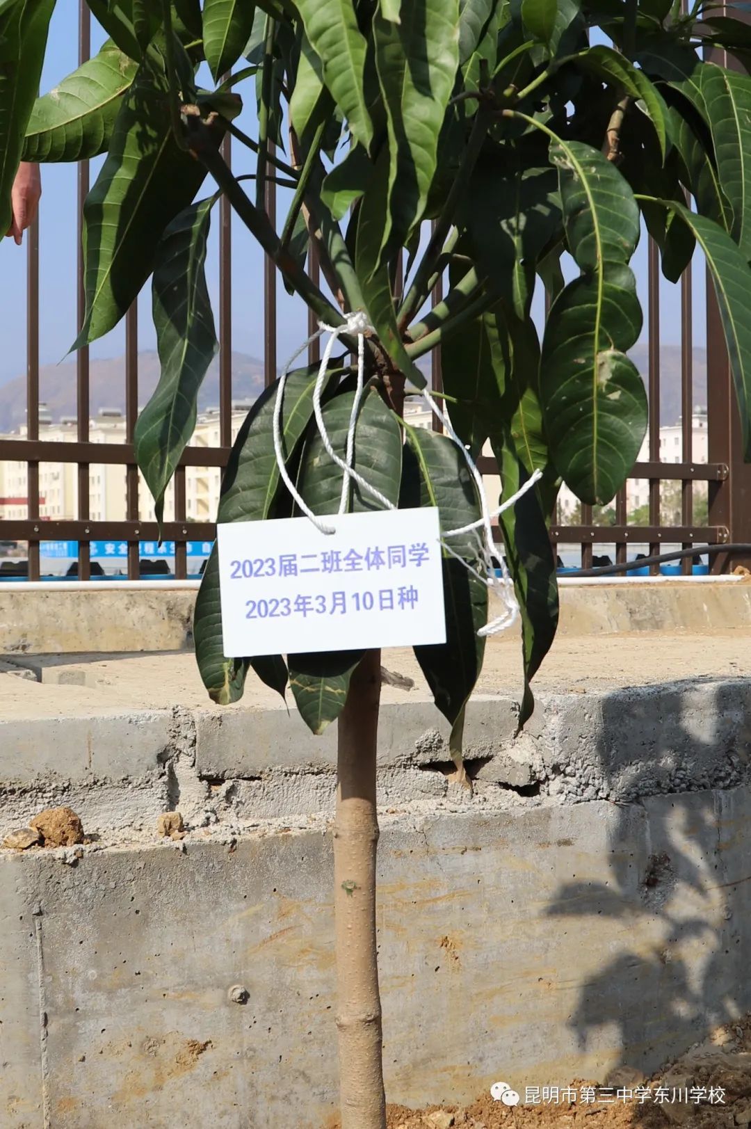 东川教育