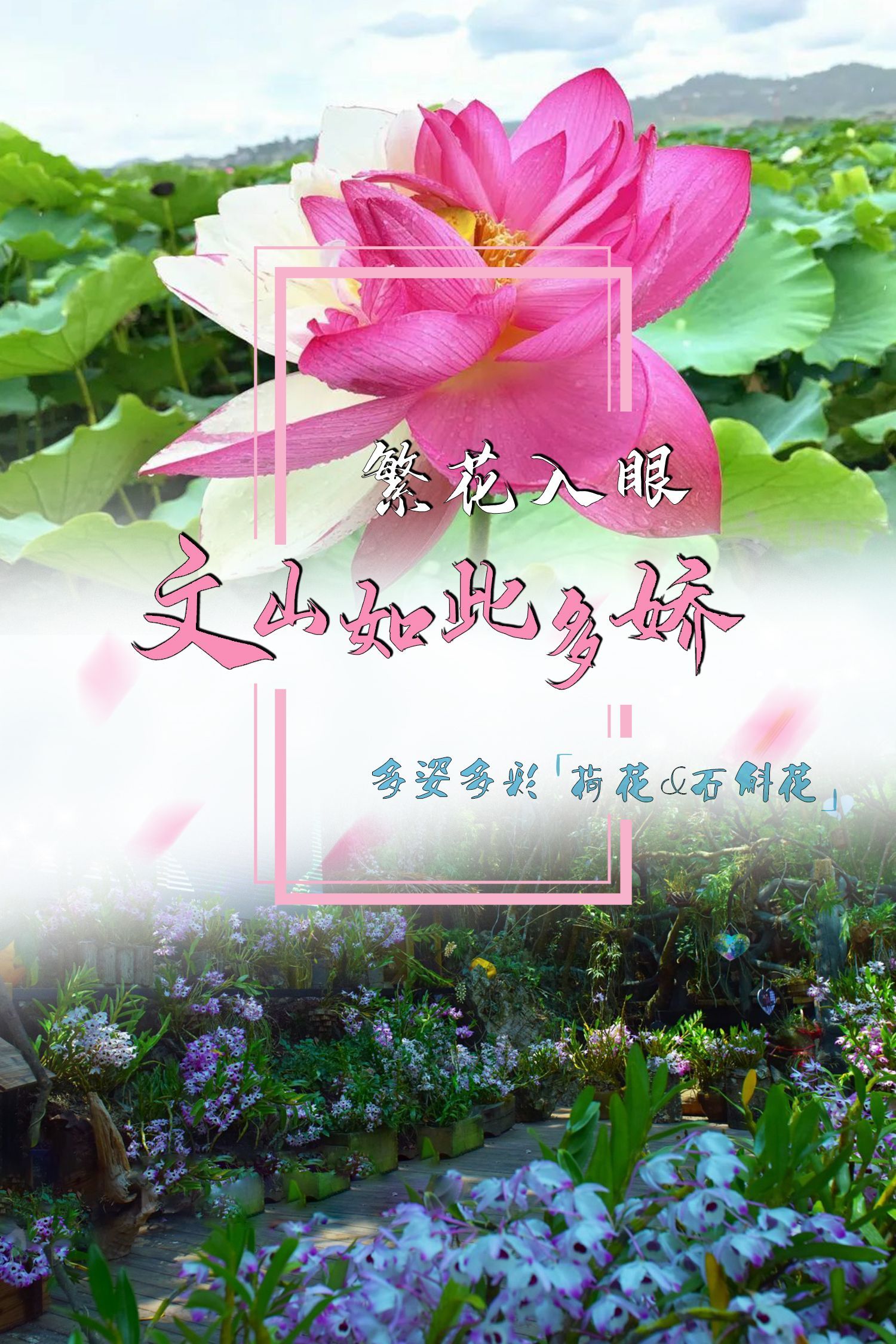 云南省文化和旅游厅