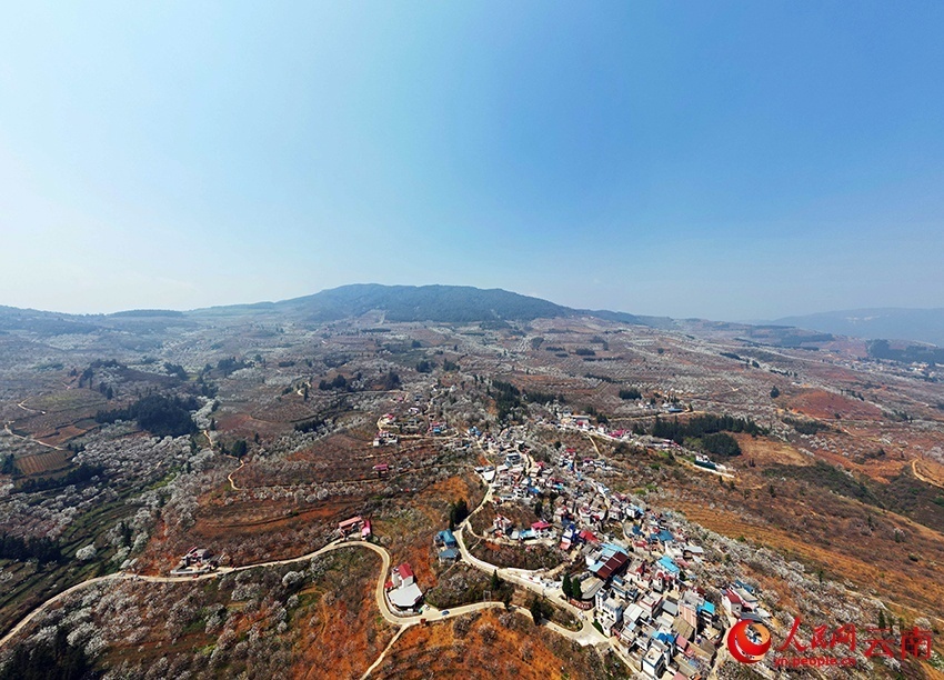 云南省文化和旅游厅