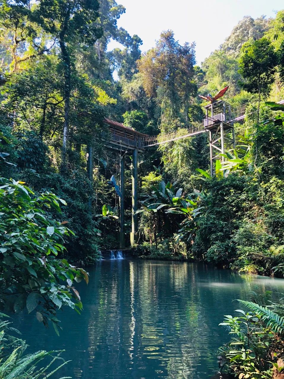 一部手机游云南