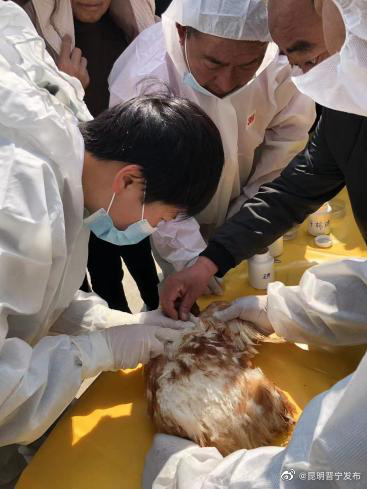 昆明晋宁发布