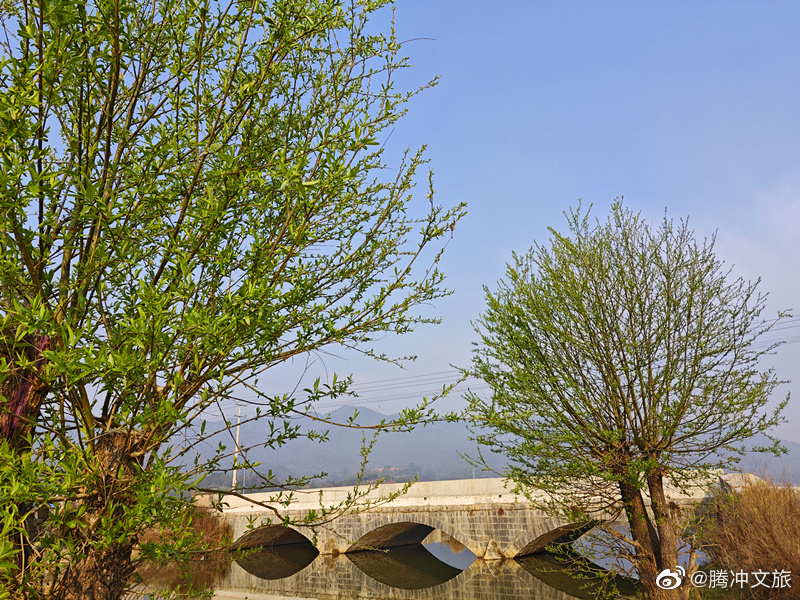 腾冲文旅微博