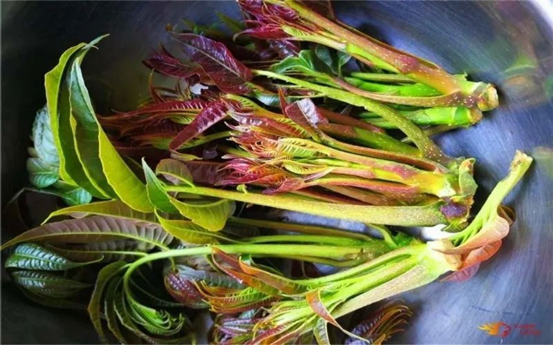 云南省文化和旅游厅