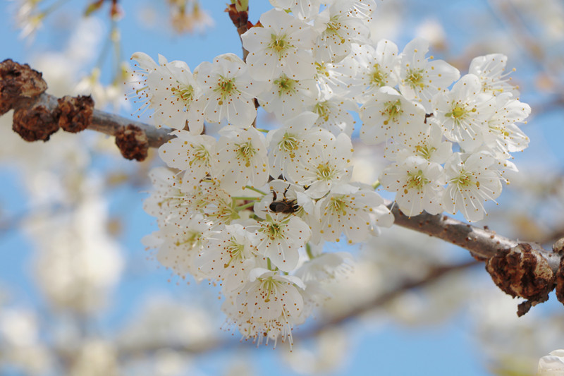云南省文化和旅游厅
