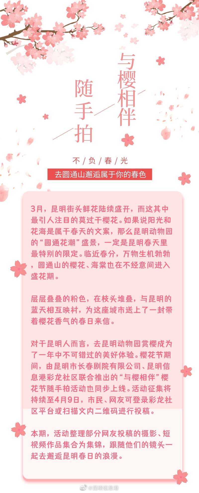 昆明信息港（微博）