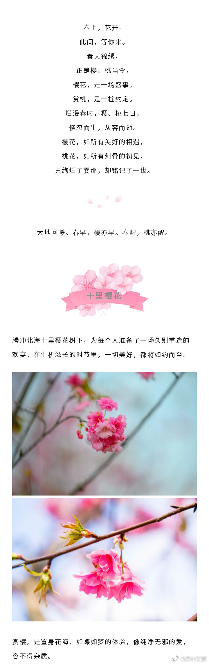 腾冲文旅微博