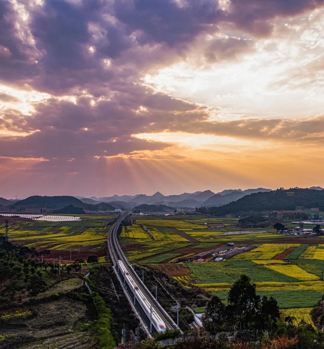 云南省文化和旅游厅