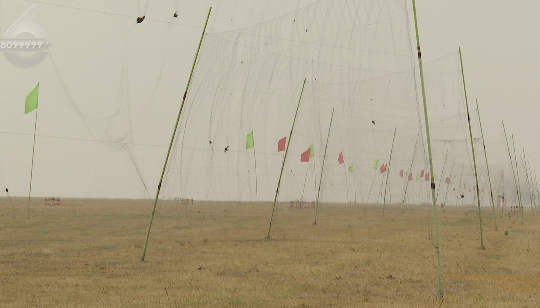 昆明信息港/cnkmxxg