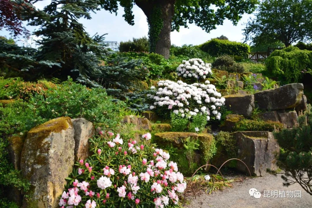 昆明植物园
