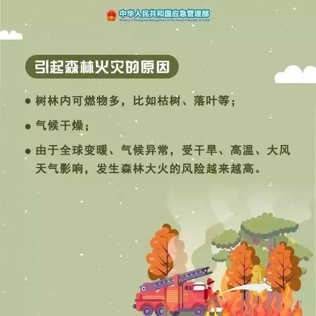 红河日报