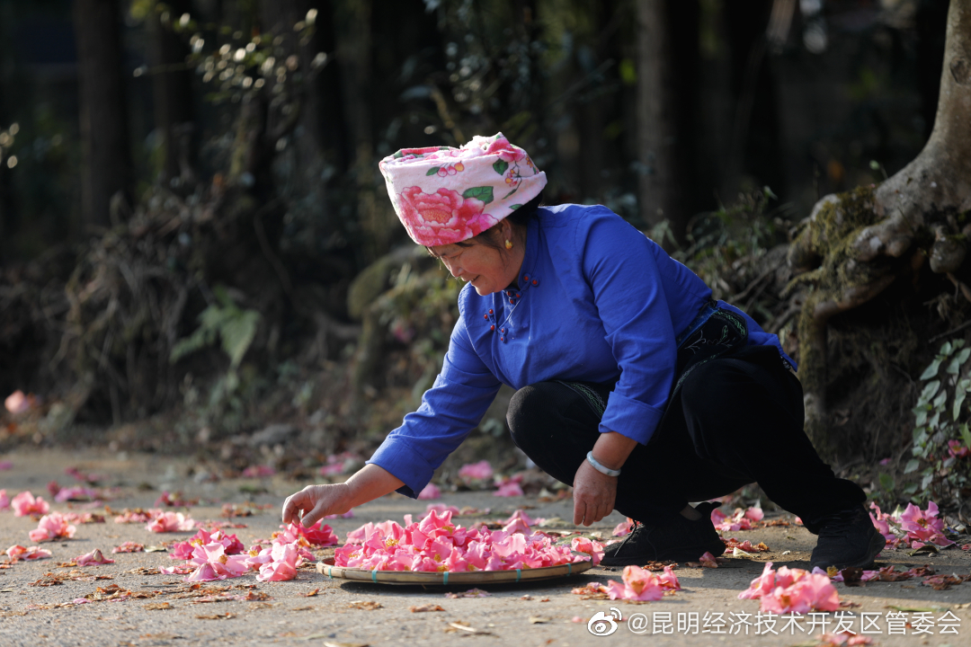 昆明经济技术开发区管委会