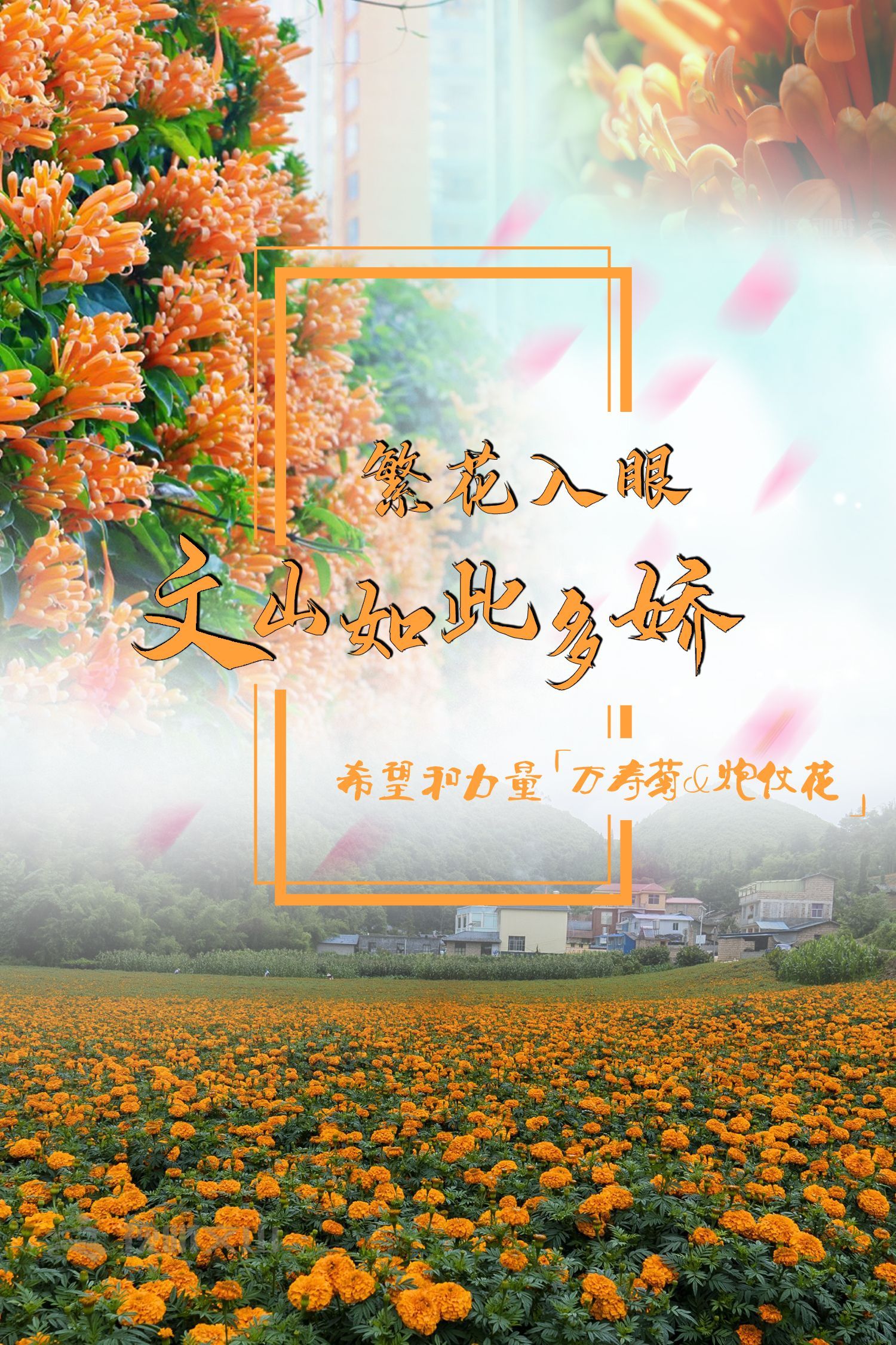 云南省文化和旅游厅