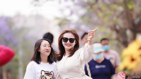 云南省文化和旅游厅