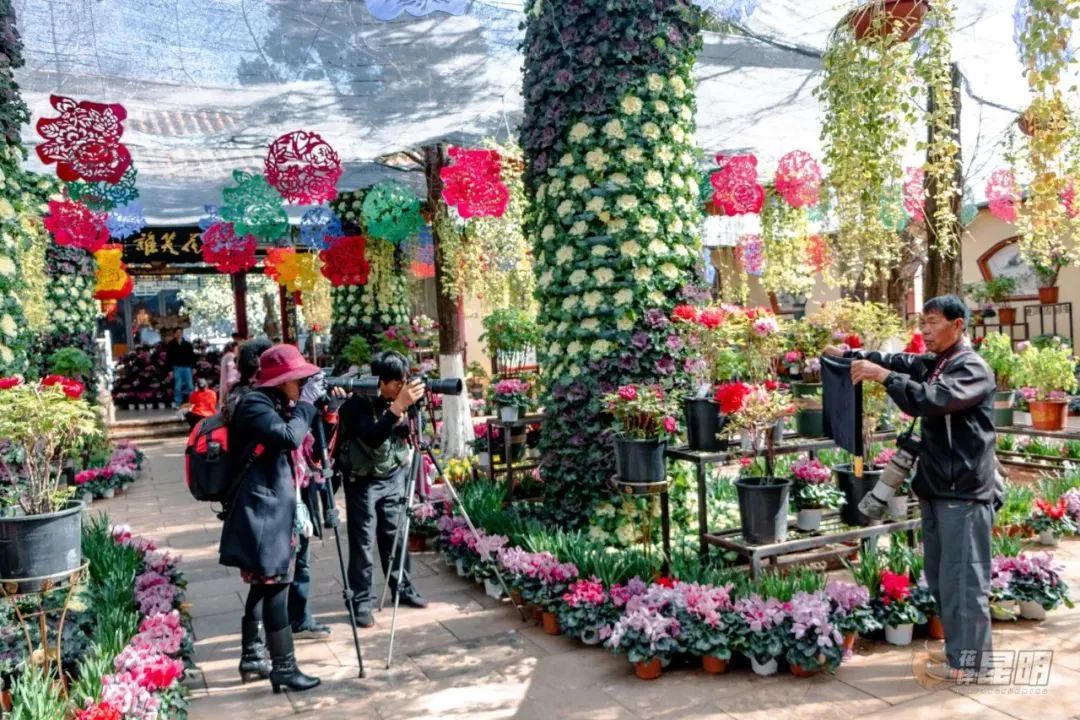 昆明文旅