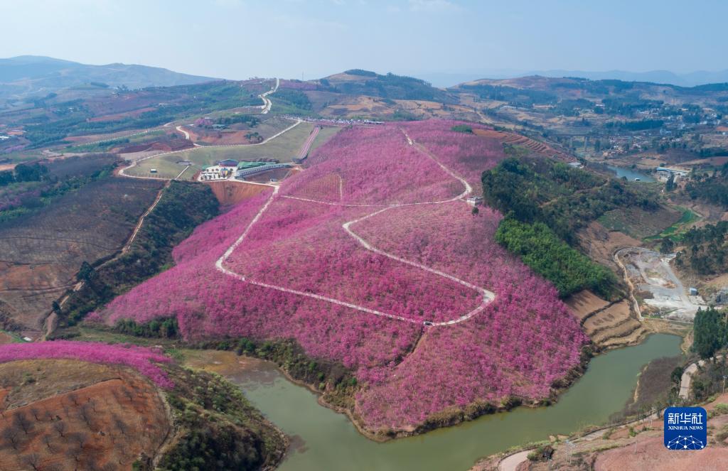 云南省文化和旅游厅