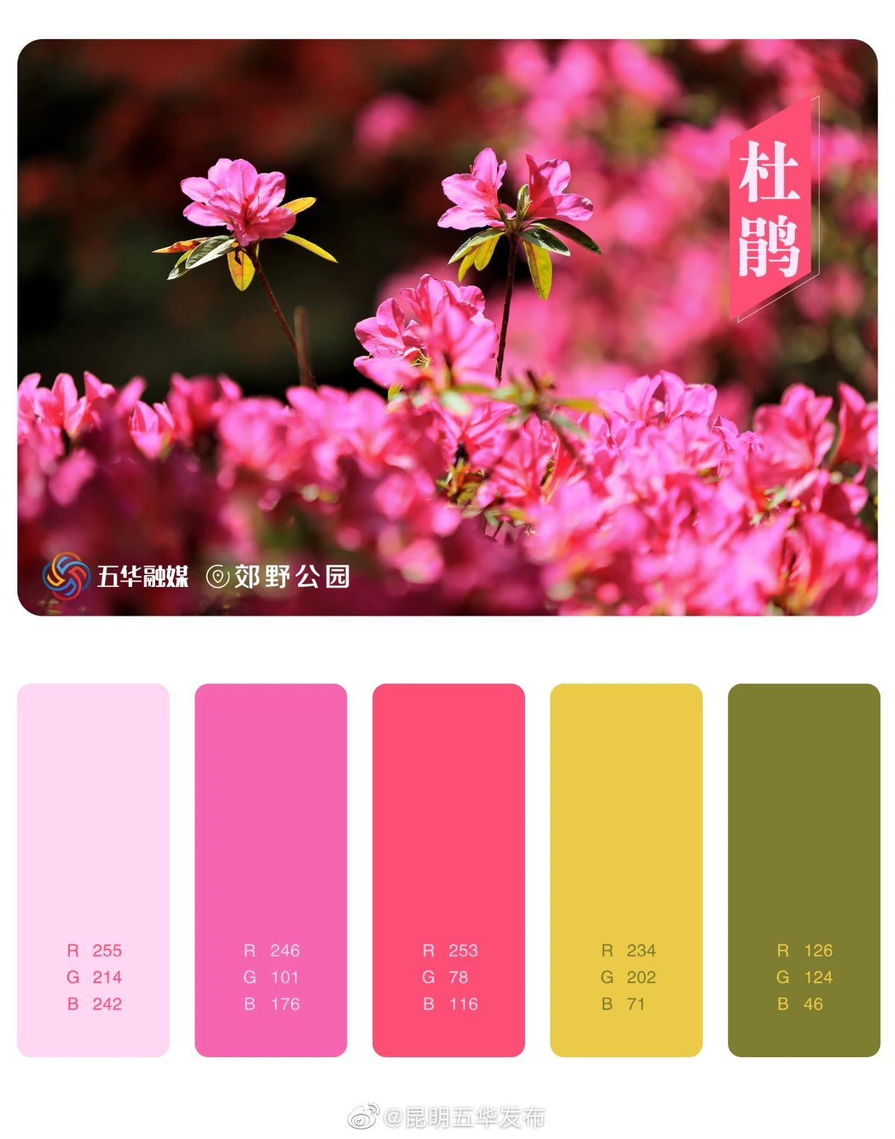 昆明五华发布