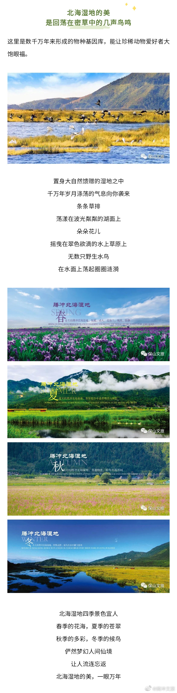 腾冲文旅微博