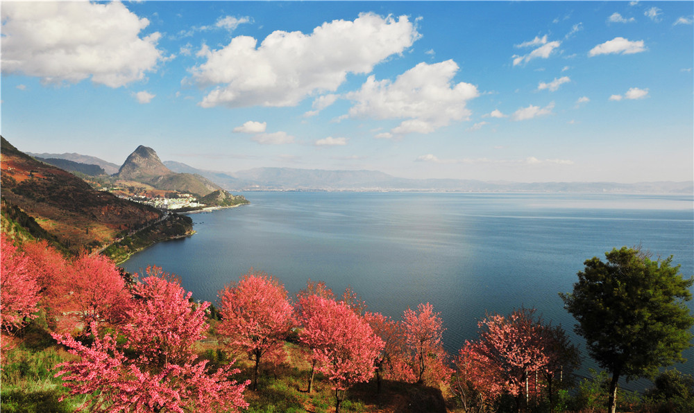 云南省文化和旅游厅