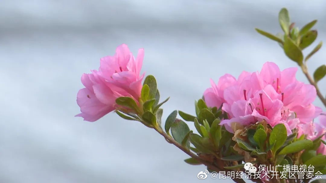 昆明经济技术开发区管委会