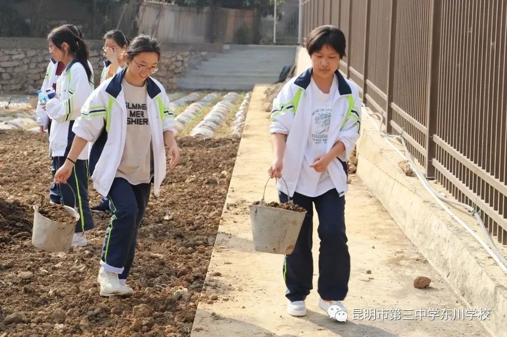 东川教育