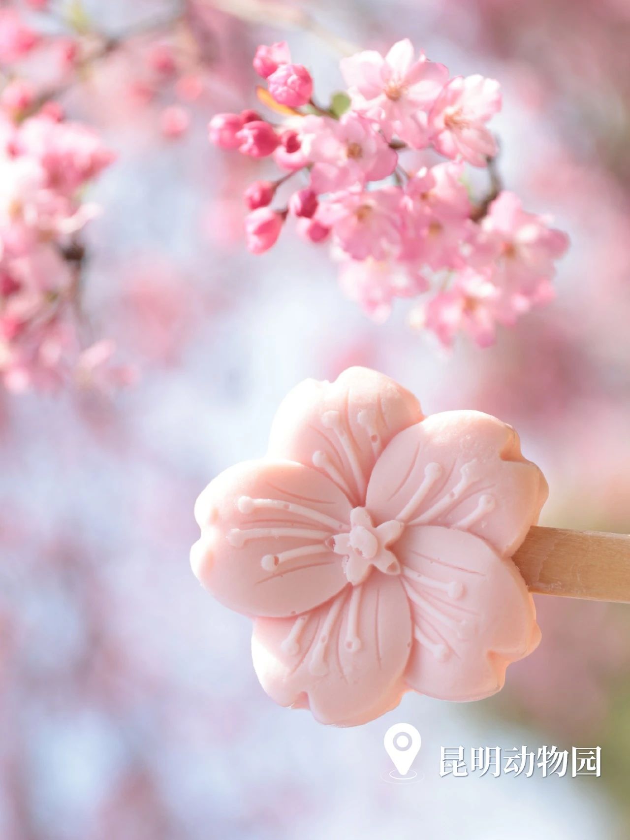 云南省文化和旅游厅