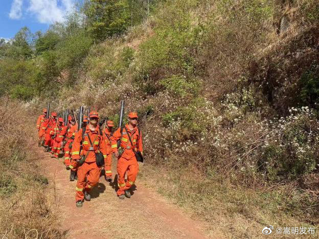 绷紧清明防火安全“弦”多措并举 筑牢森林防火墙