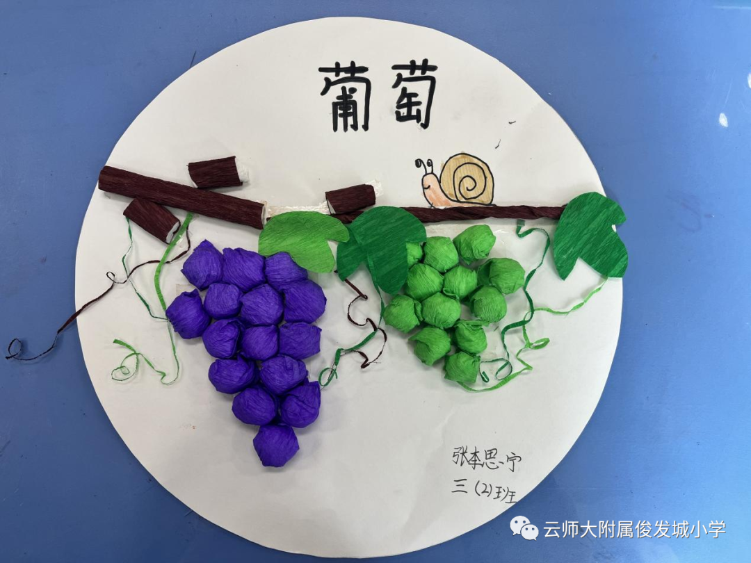 盘龙教育