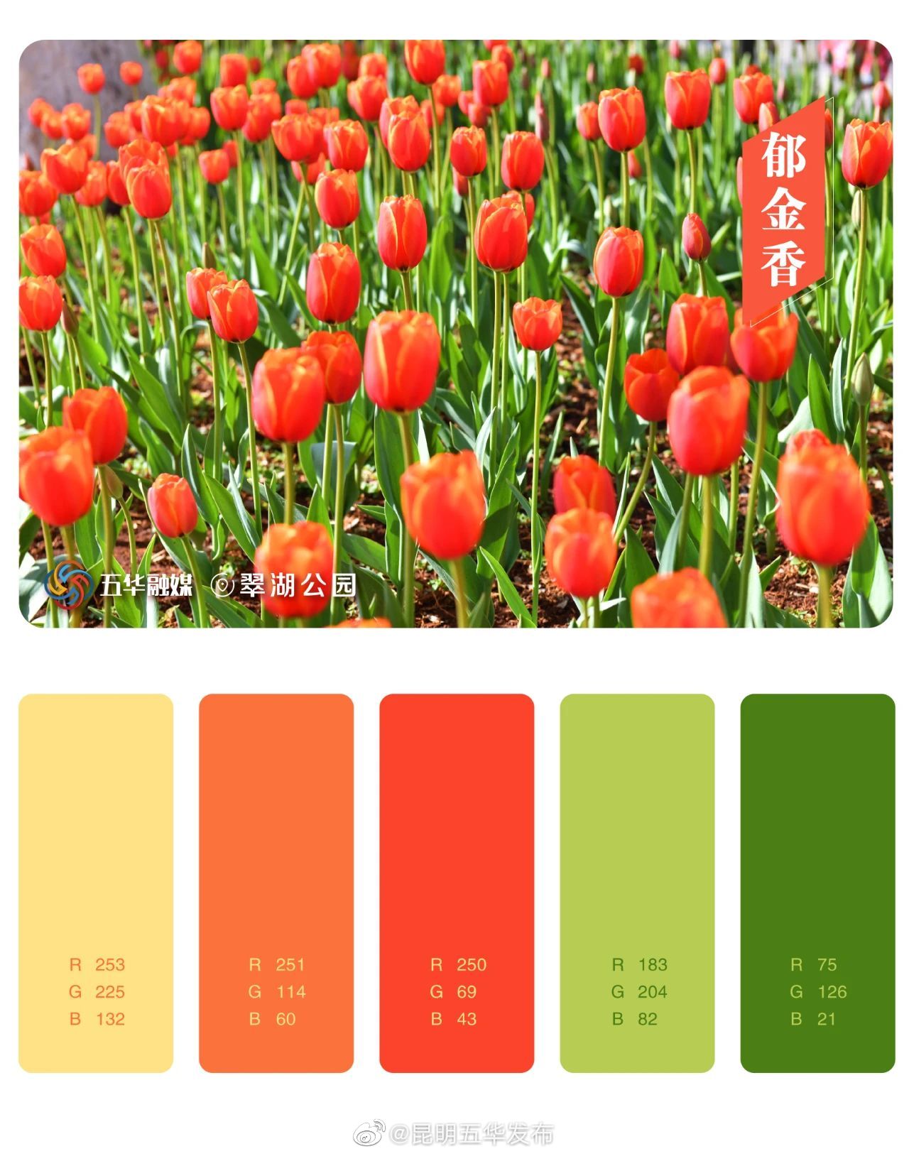 昆明五华发布