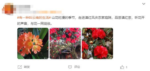 云南省文化和旅游厅