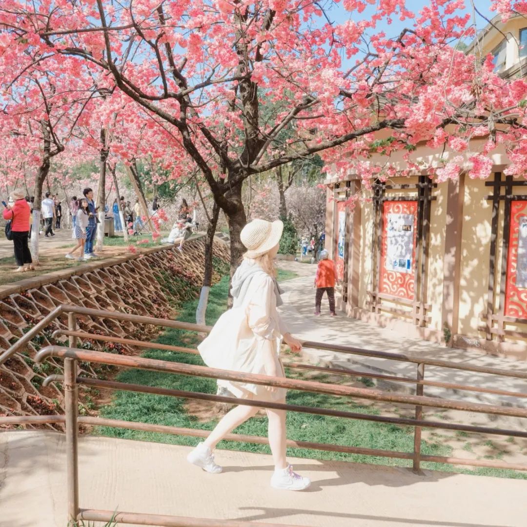 一部手机游云南