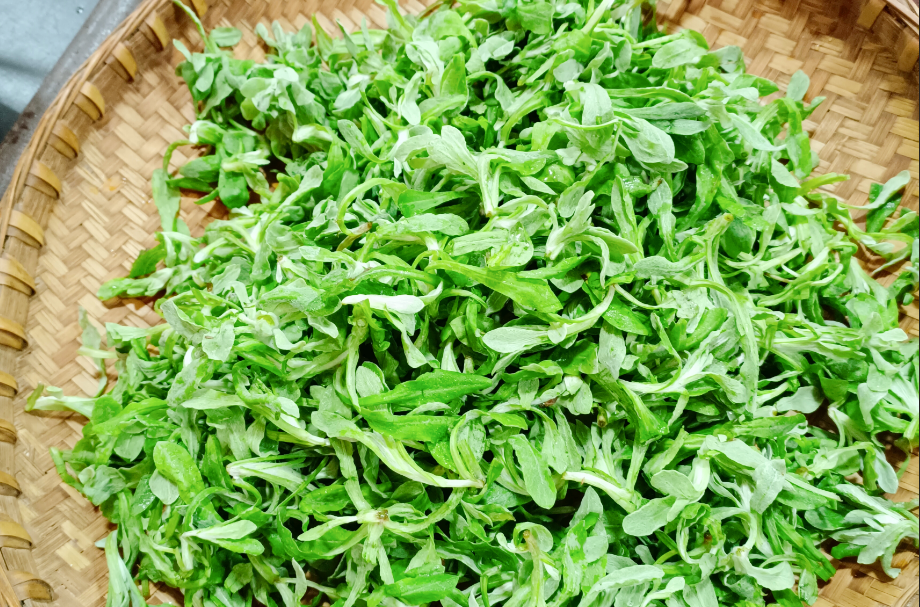 云南省文化和旅游厅