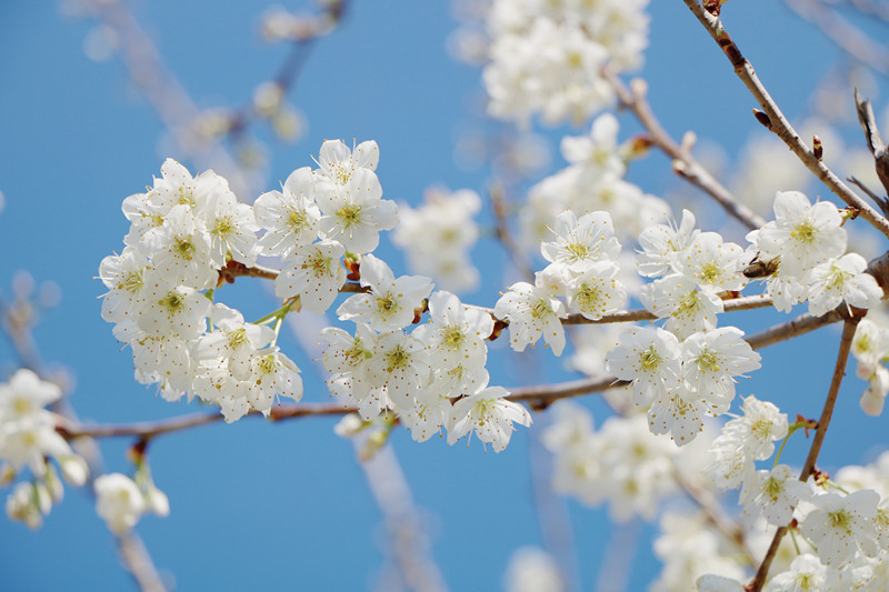 云南省文化和旅游厅