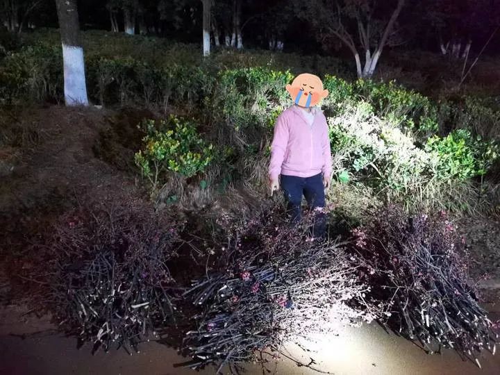 昆明信息港/cnkmxxg