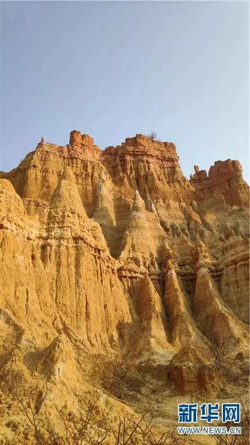 昆明信息港/cnkmxxg