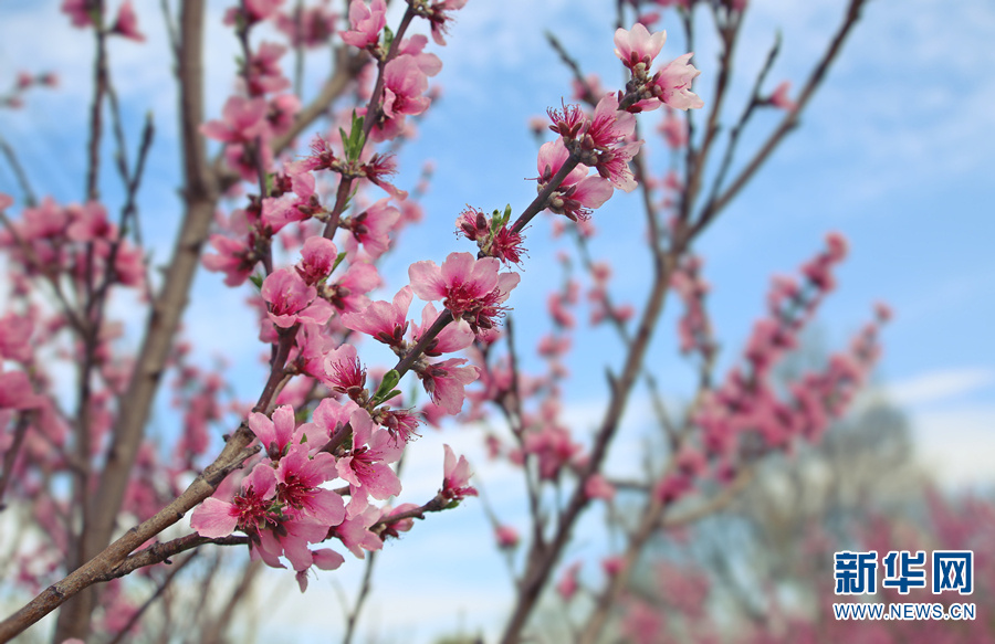 云南省文化和旅游厅