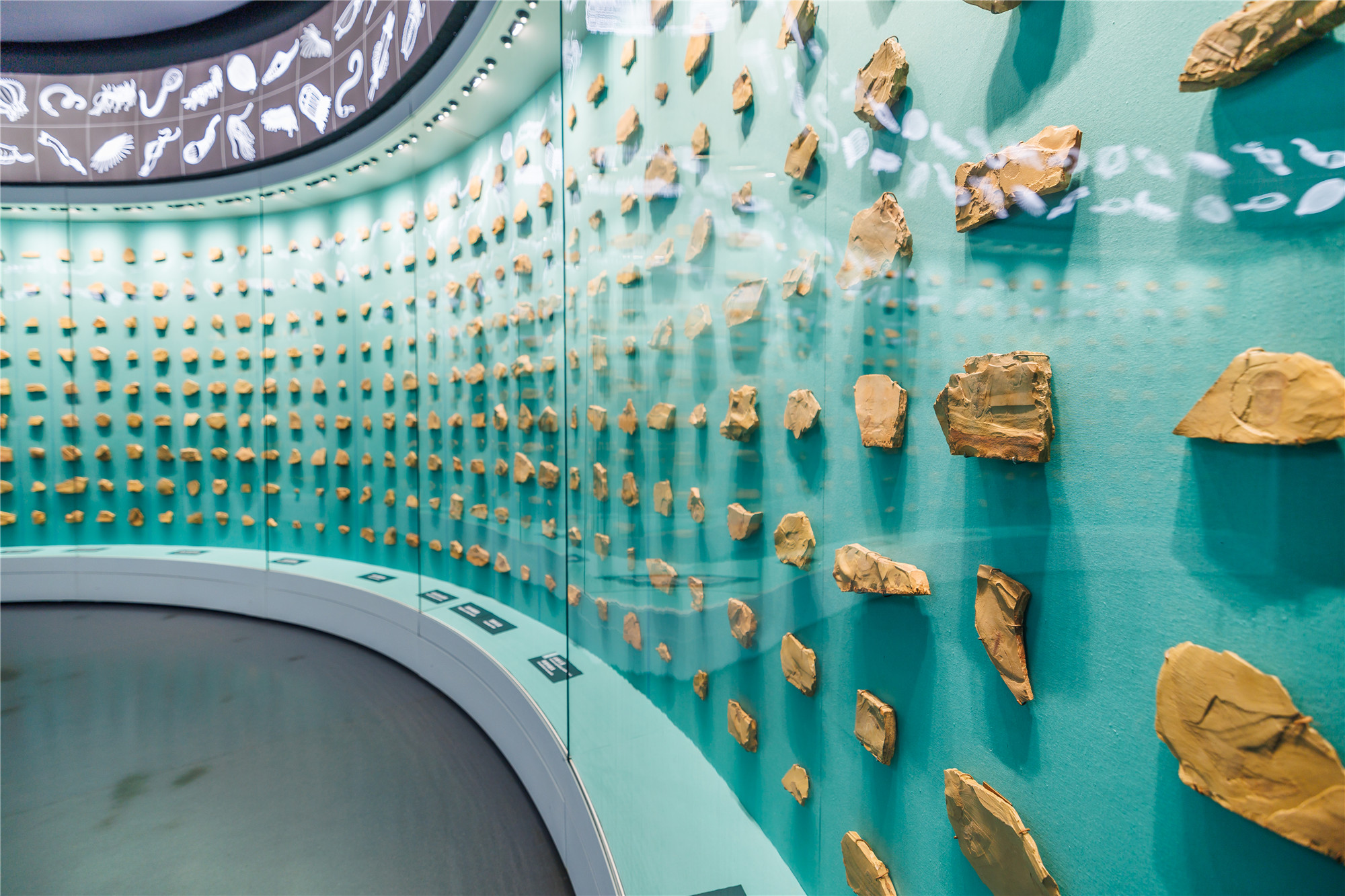 云南省文化和旅游厅