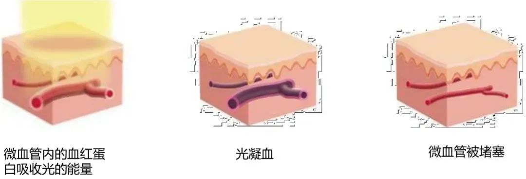 云南省中医医院