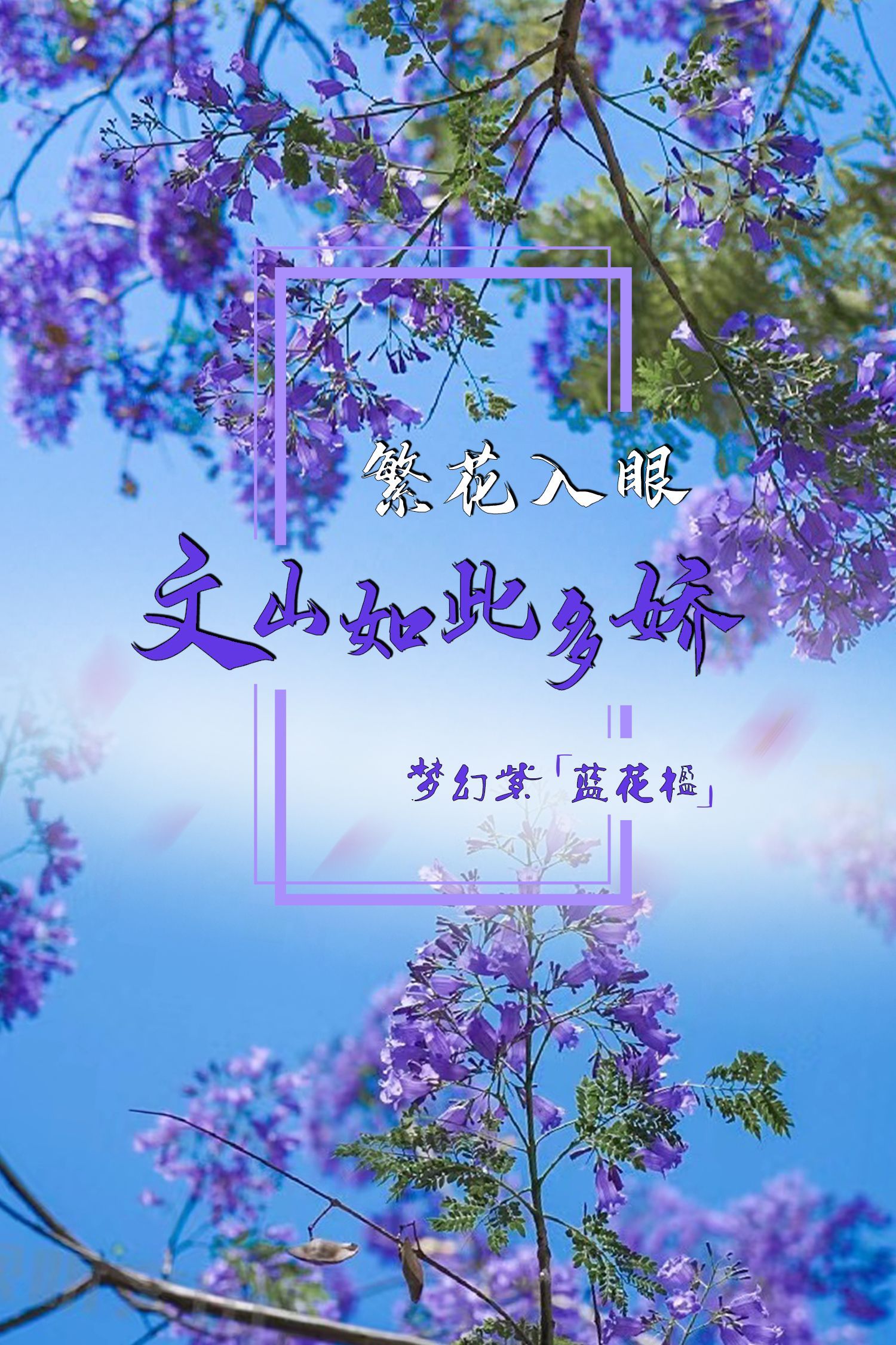云南省文化和旅游厅