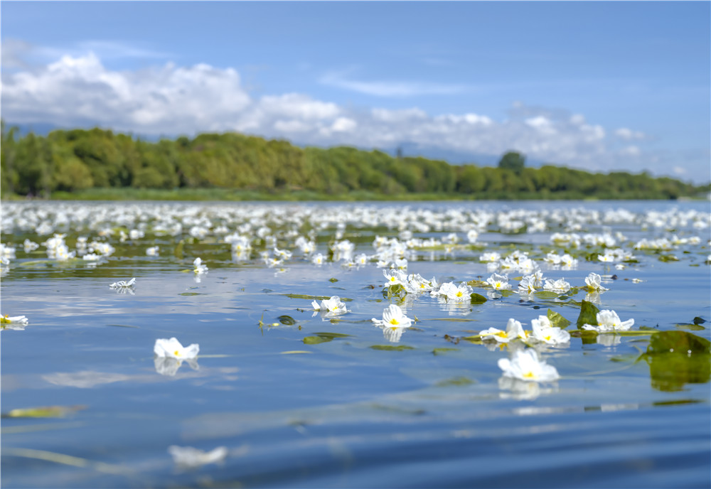云南省文化和旅游厅