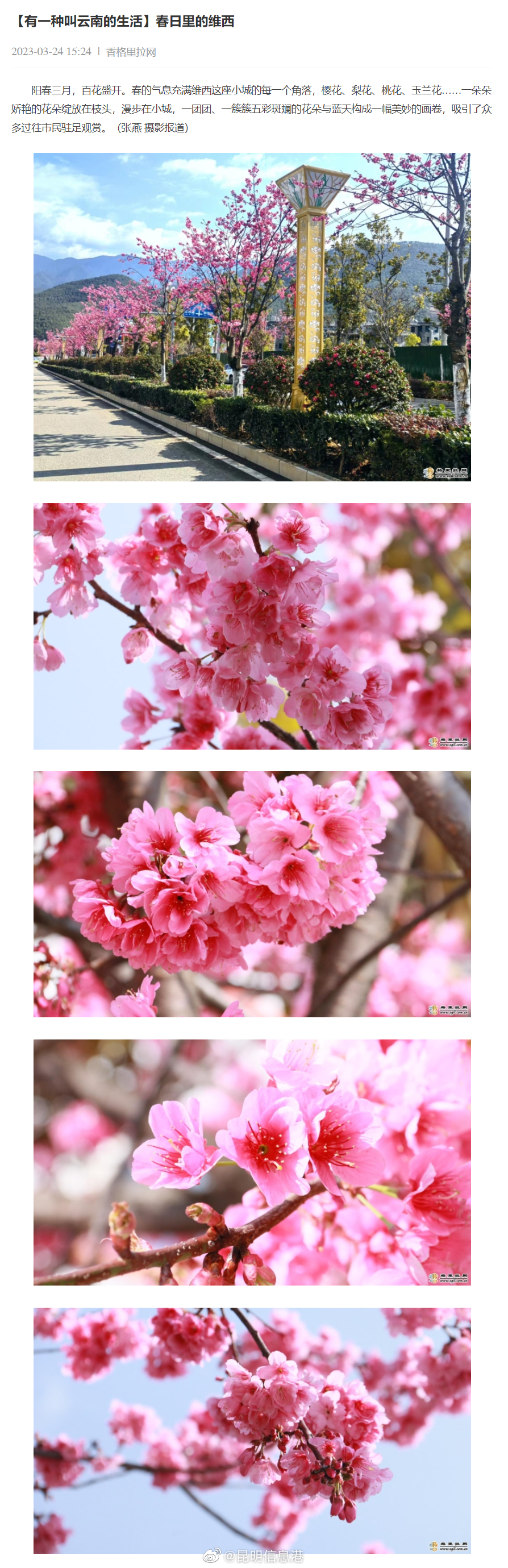 昆明信息港（微博）