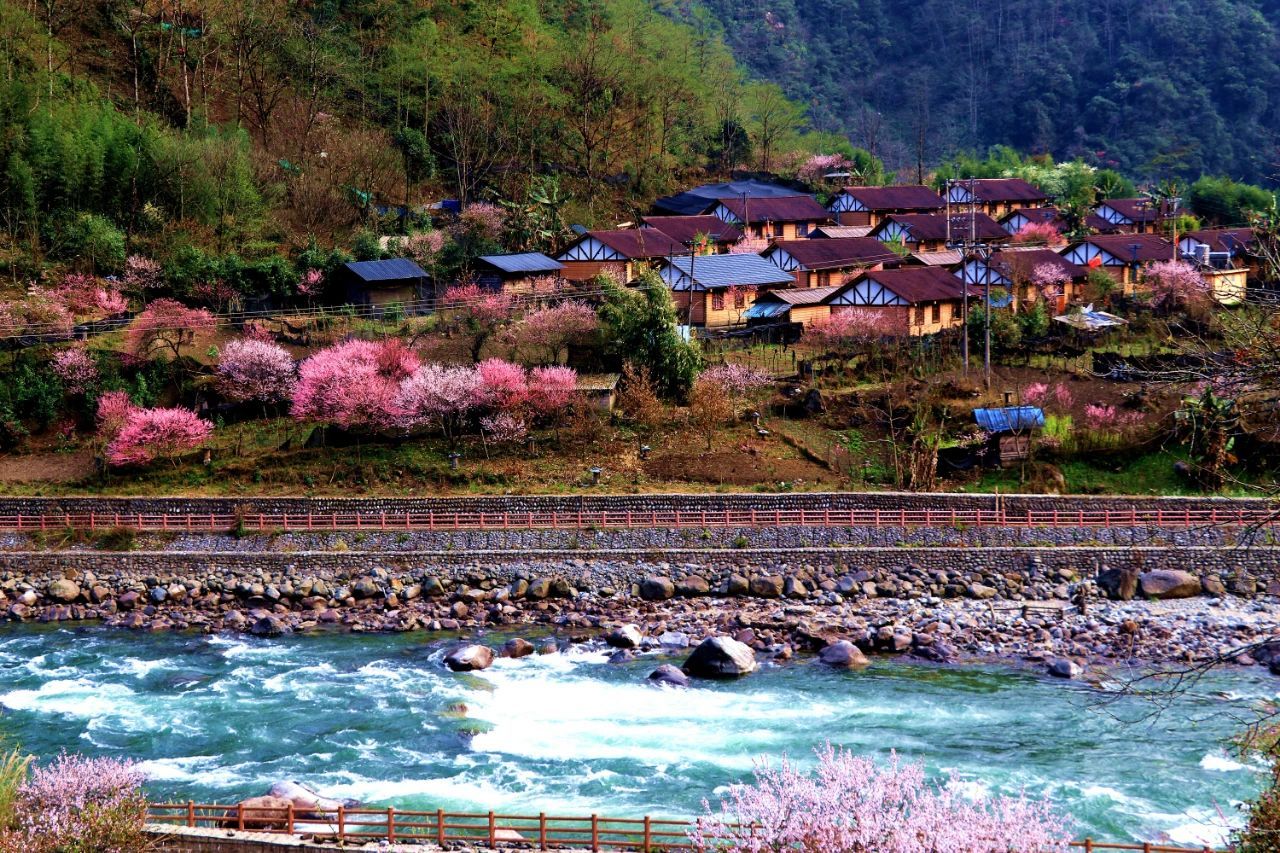 云南省文化和旅游厅