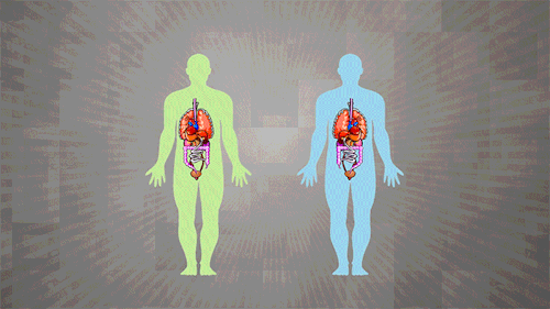 昆明市西山区发布