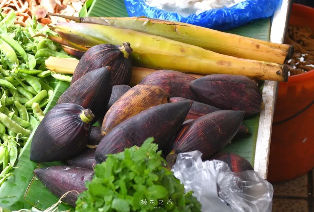 云南省文化和旅游厅