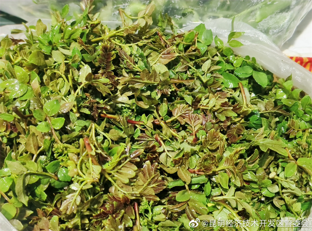 昆明经济技术开发区管委会