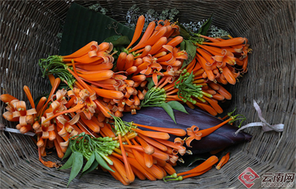 云南省文化和旅游厅