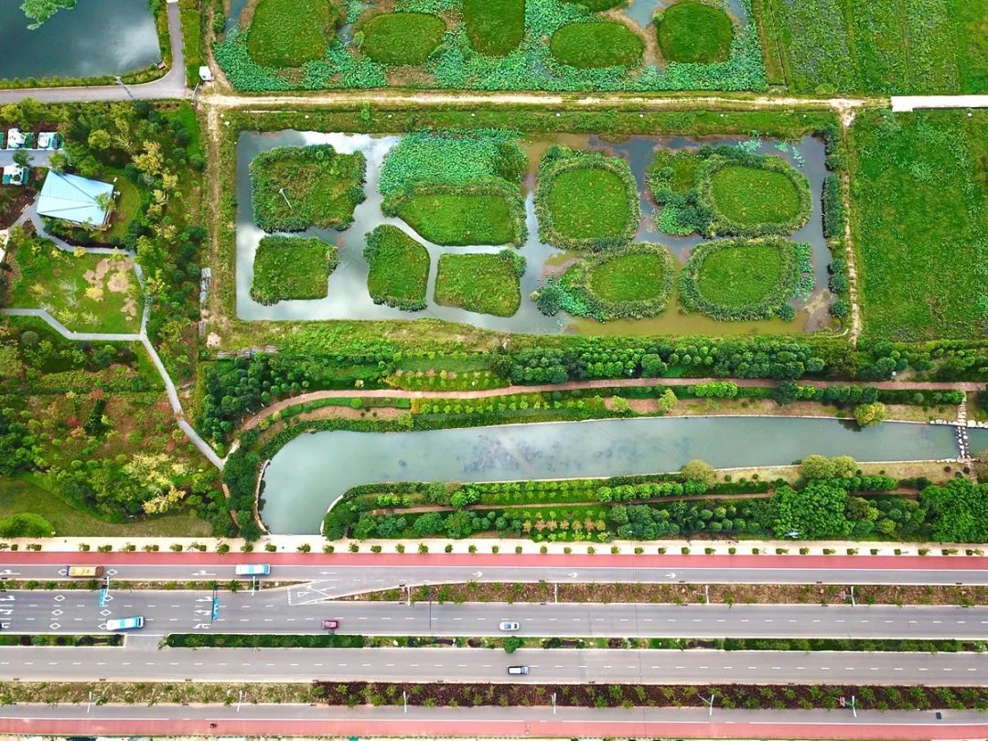 云南省文化和旅游厅