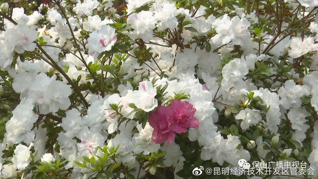 昆明经济技术开发区管委会
