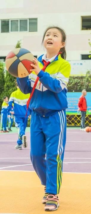 盘龙教育